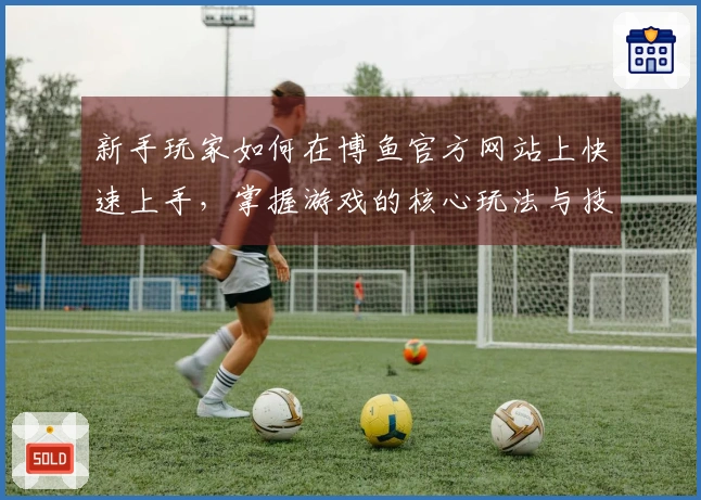 新手玩家如何在博鱼官方网站上快速上手，掌握游戏的核心玩法与技巧？