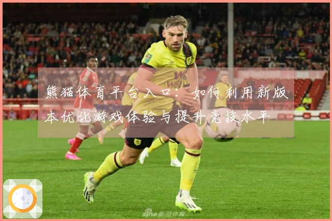 熊猫体育平台入口：如何利用新版本优化游戏体验与提升竞技水平