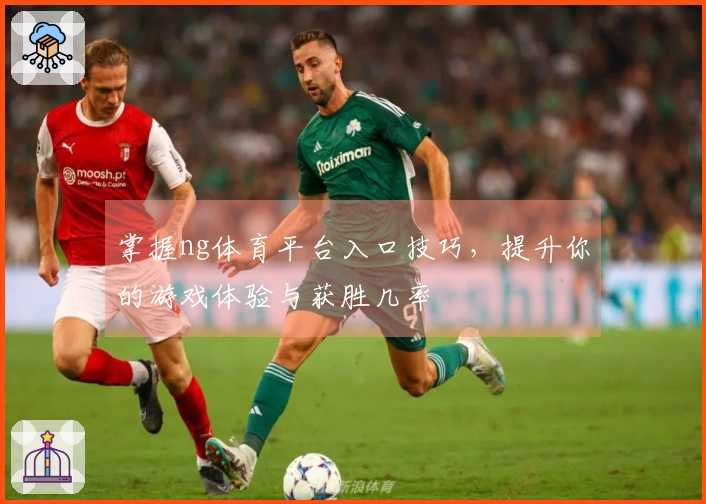 掌握ng体育平台入口技巧，提升你的游戏体验与获胜几率